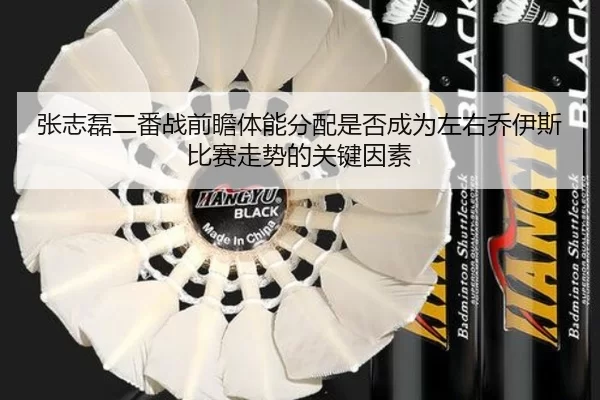 张志磊二番战前瞻体能分配是否成为左右乔伊斯比赛走势的关键因素